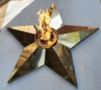 Звезда переносной модуль (513895) монтаж комплект горелка ГВД 379 10 89 00 ПС мобильная  в Симферополе